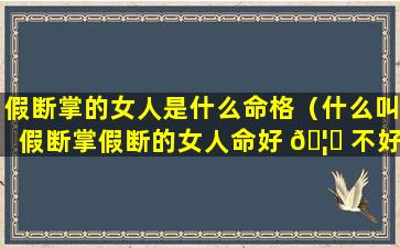 假断掌的女人是什么命格（什么叫假断掌假断的女人命好 🦍 不好）